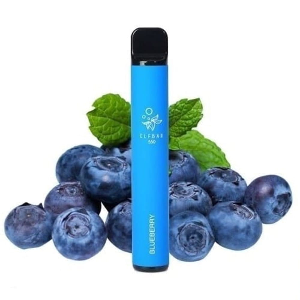 Elfbar 600 - Einweg E-Zigarette Blueberry 2% Nikotin